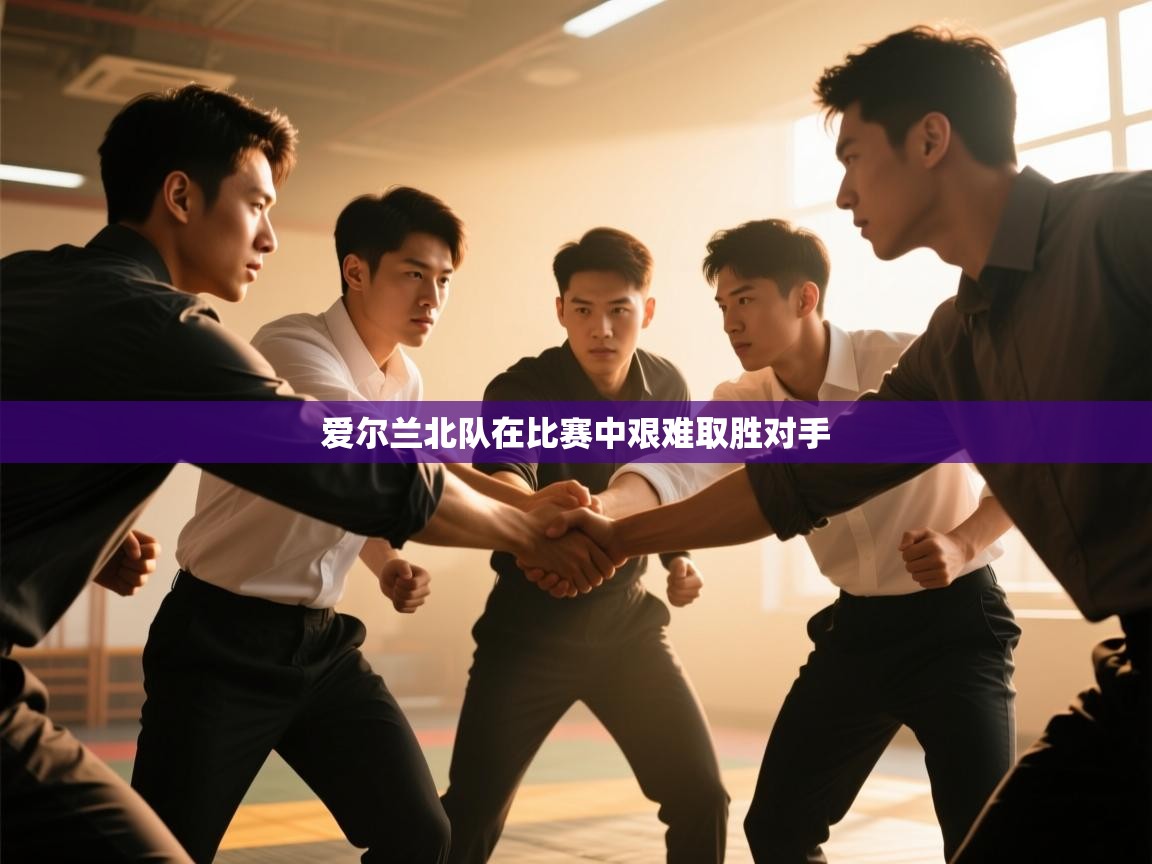 爱尔兰北队在比赛中艰难取胜对手 第1张