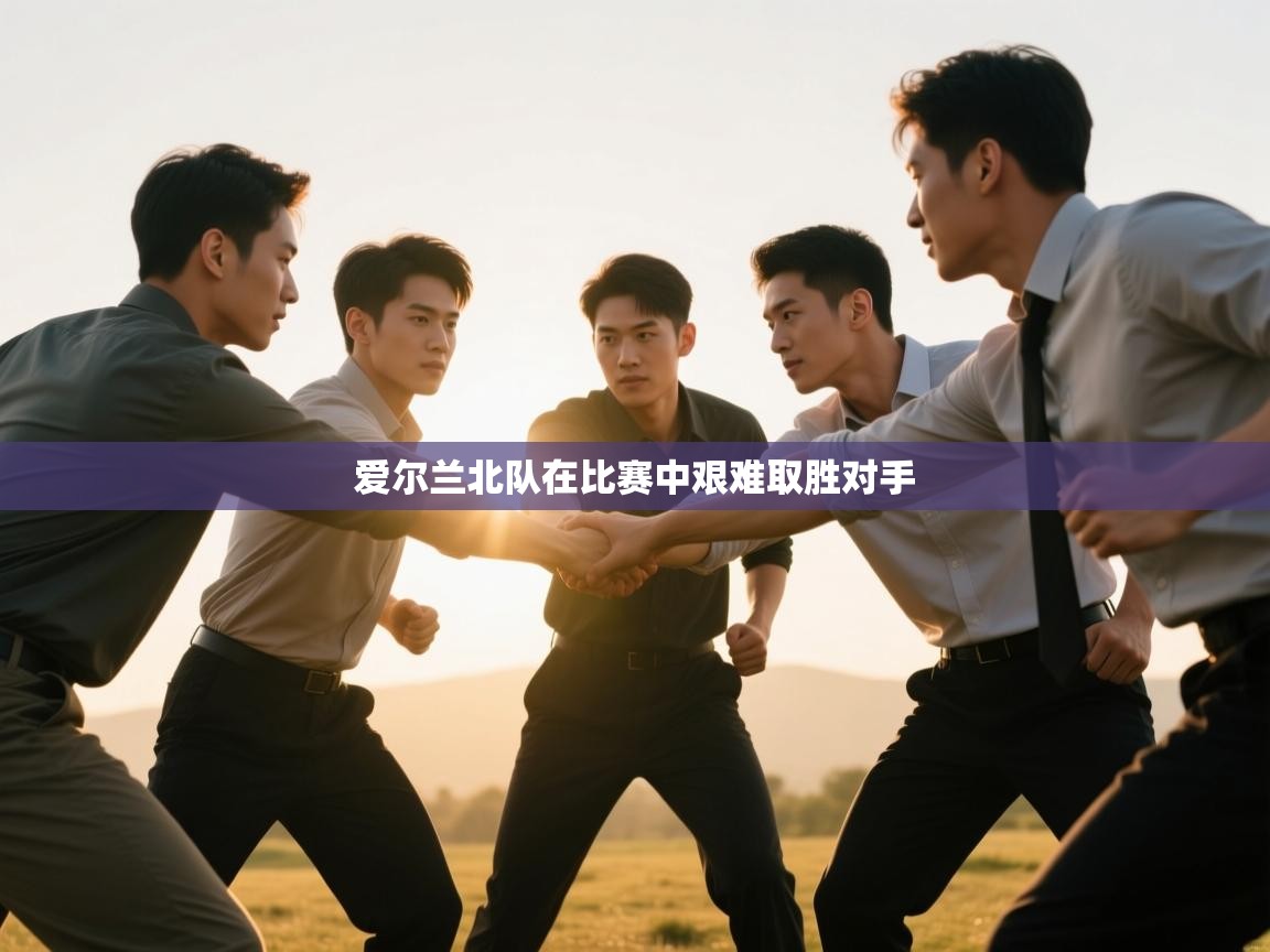 爱尔兰北队在比赛中艰难取胜对手 第2张